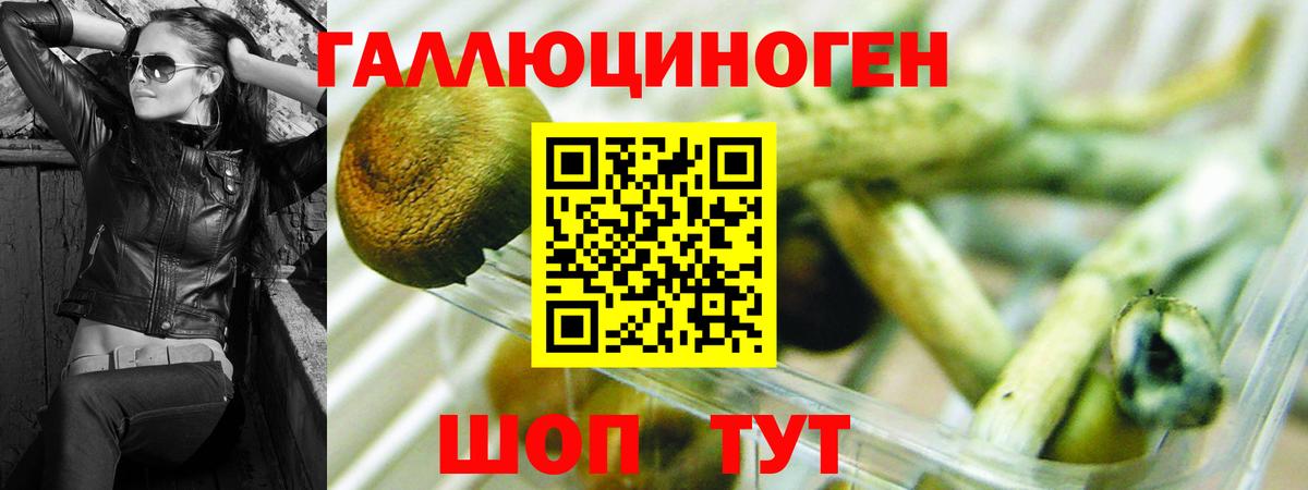 Псилоцибиновые грибы мицелий Наро-Фоминск